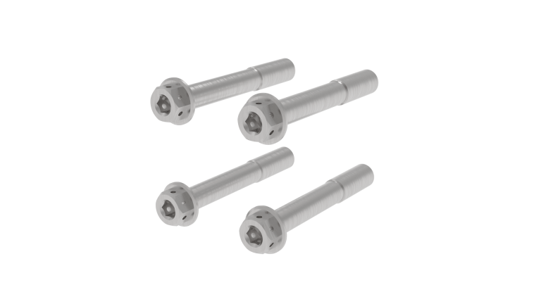 Brake caliper bolts