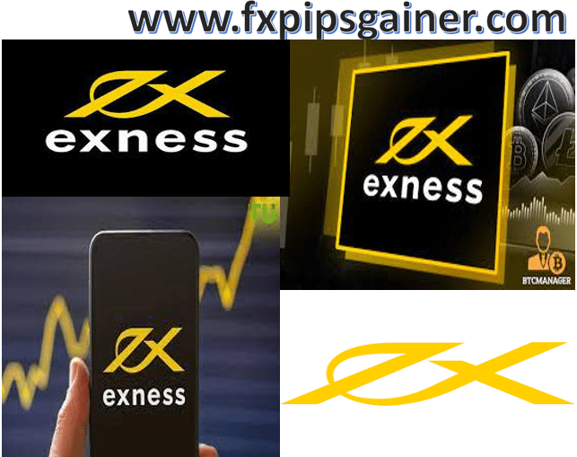 Understanding Exness Servers The Backbone of Forex Trading Understanding Exness Servers The Backbone of Forex Trading