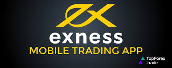Understanding Exness Servers The Backbone of Forex Trading Understanding Exness Servers The Backbone of Forex Trading